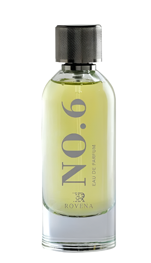 Rovena NO.6 parfimēts ūdens vīriešiem 100ml