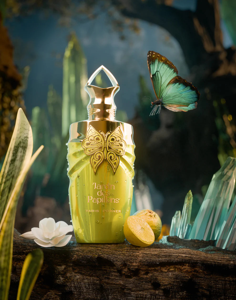 Jardin Des Papillons by Paris Corner EDP 100ml
